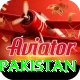 Tiger 888 Game King Pakistan